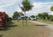 Area Sosta