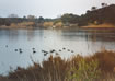 Laguna di Orbetello