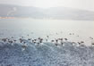 Laguna di Orbetello