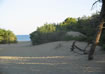 Ingresso spiaggia della Feniglia