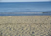 Spiaggia della Feniglia