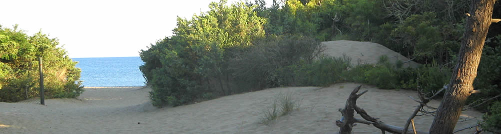 Area sosta